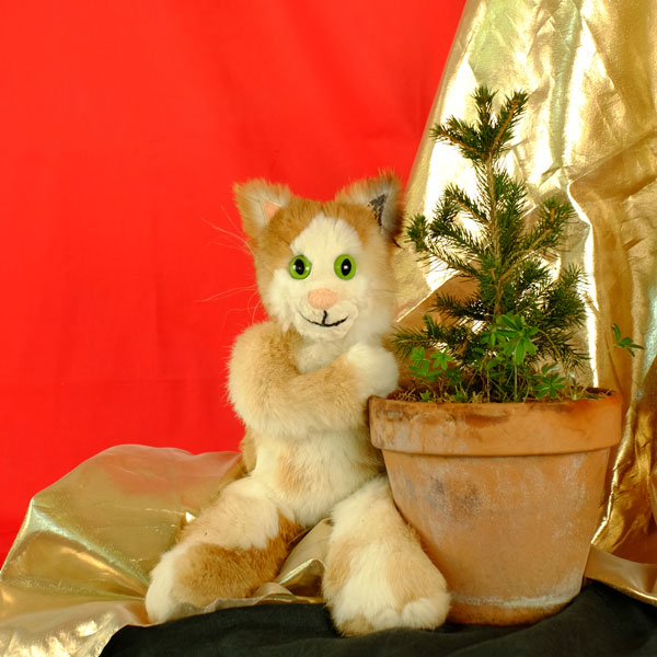 Hauptbild Carusos Weihnachten