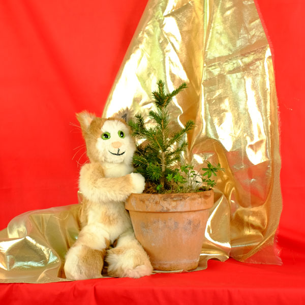 Hauptbild Carusos Weihnachten