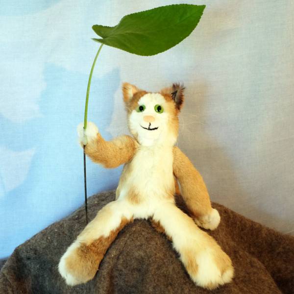 Hauptbild Caruso als Wetterfrosch